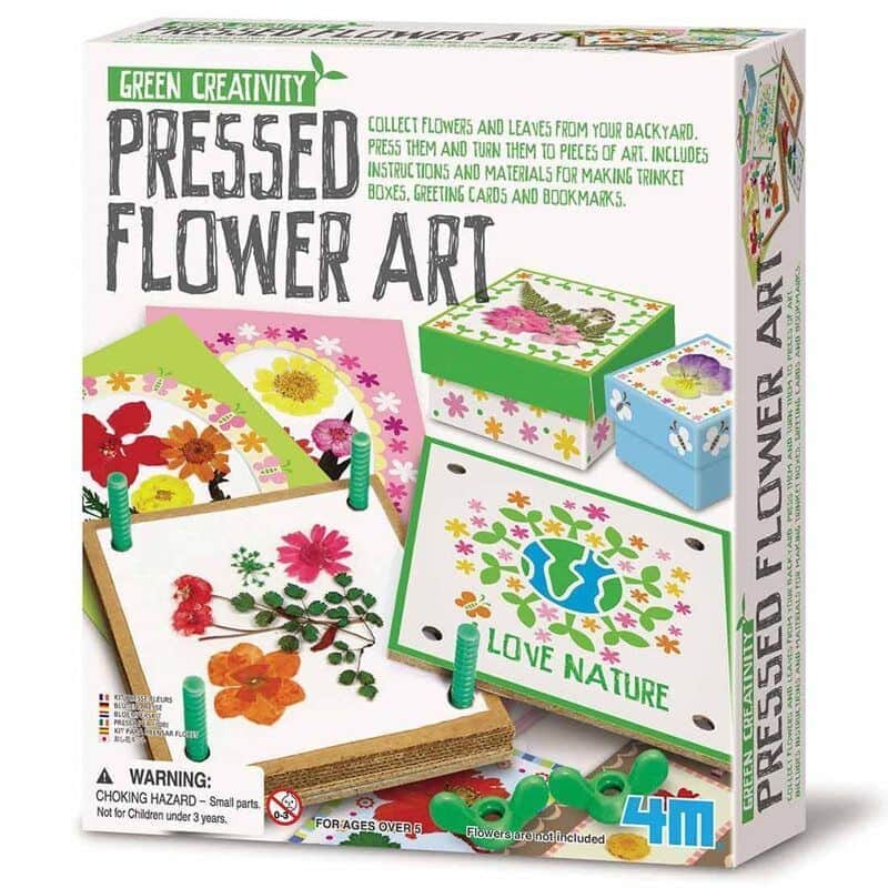 אומנות ביבוש פרחים | 4M