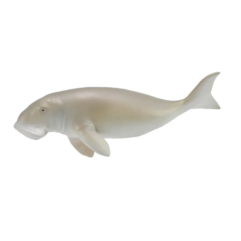חיות אקיאנוסים וקרח - תחש המשכן, דוגונג (L) | CollectA