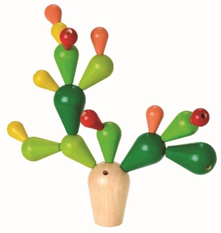 מאזנים את הקקטוס
