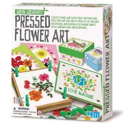 אומנות ביבוש פרחים | 4M