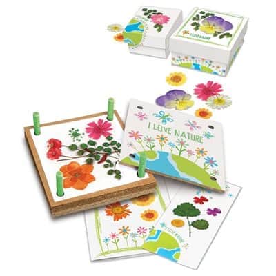 אומנות ביבוש פרחים | 4M