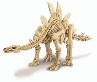 חפירת שלד דינוזאור Stegosaurus |4M