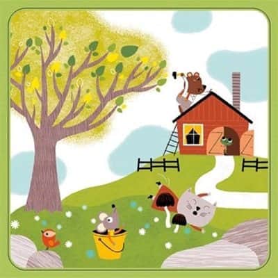 לימודי - טופולוג'יק|DJECO