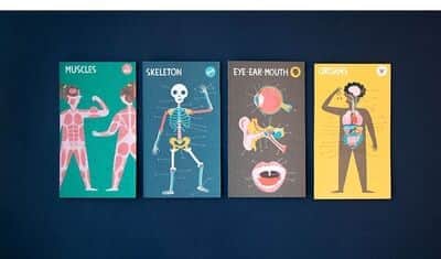 לימוד גוף האדם Learn & Fun inside me | londji