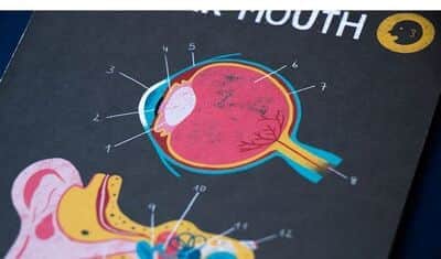 לימוד גוף האדם Learn & Fun inside me | londji