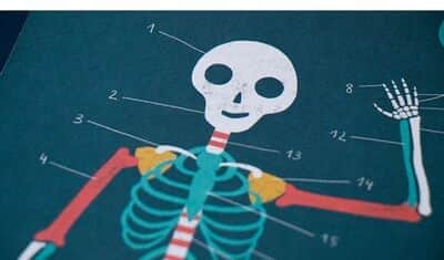 לימוד גוף האדם Learn & Fun inside me | londji