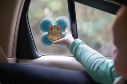 ספינר סנסורי דב