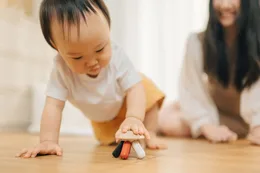 מדוזה גמישה מעץ | Plan Toys