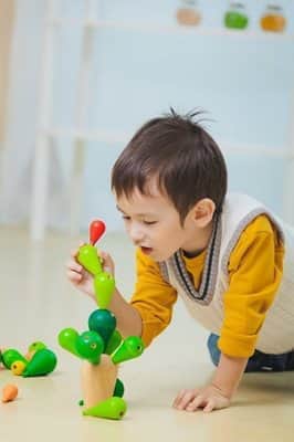 מאזנים את הקקטוס