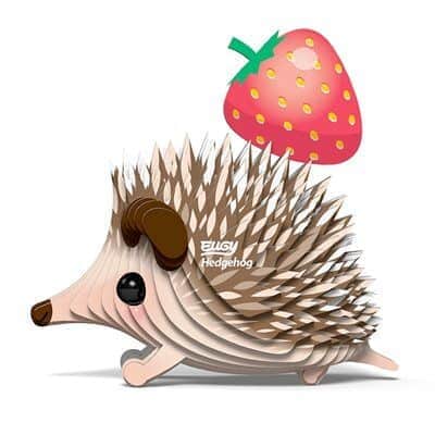 יוגי קיפוד | eugy