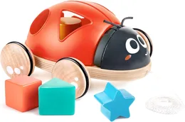 התאמת צורות חיפושית | HAPE